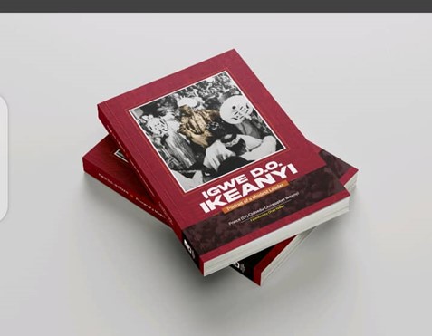 IDOMI Foundation Launching,?